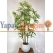 Yapay Rhapis Palmiyesi