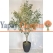 Dev Yapay Zeytin Ağacı