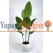 Yapay Salon Ağacı