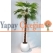 Yapay Yelpaze Palmiyesi