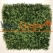 Artificial green wall panel with variegated greens of ivy  50x50 cm