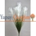 Uzun Vazo Çiçekleri - Yapay Pampas