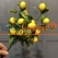 Yapay Küçük Limon Demeti