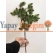 Kozalaklı Yapay Çamdalı