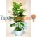 Yapay 3 Lü Monstera Ağacı