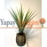 Aloe Vera Ağacı Modelleri