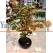 Premium Yapay Bonzai Ağacı 1.60 Mt
