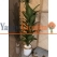 difembahya ağaç Yapay