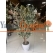 Yapay Zeytin Ağacı