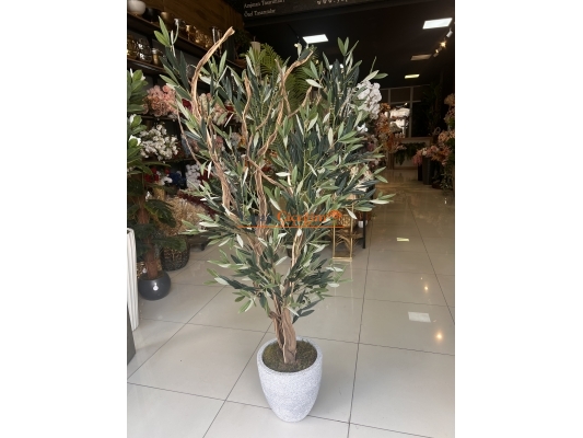 Yapay Zeytin Ağacı