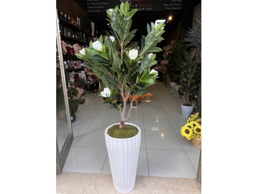 Yapay Manolya Ağacı