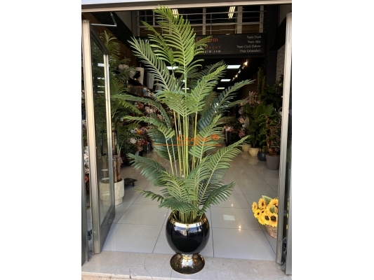 Salon Çiçeği