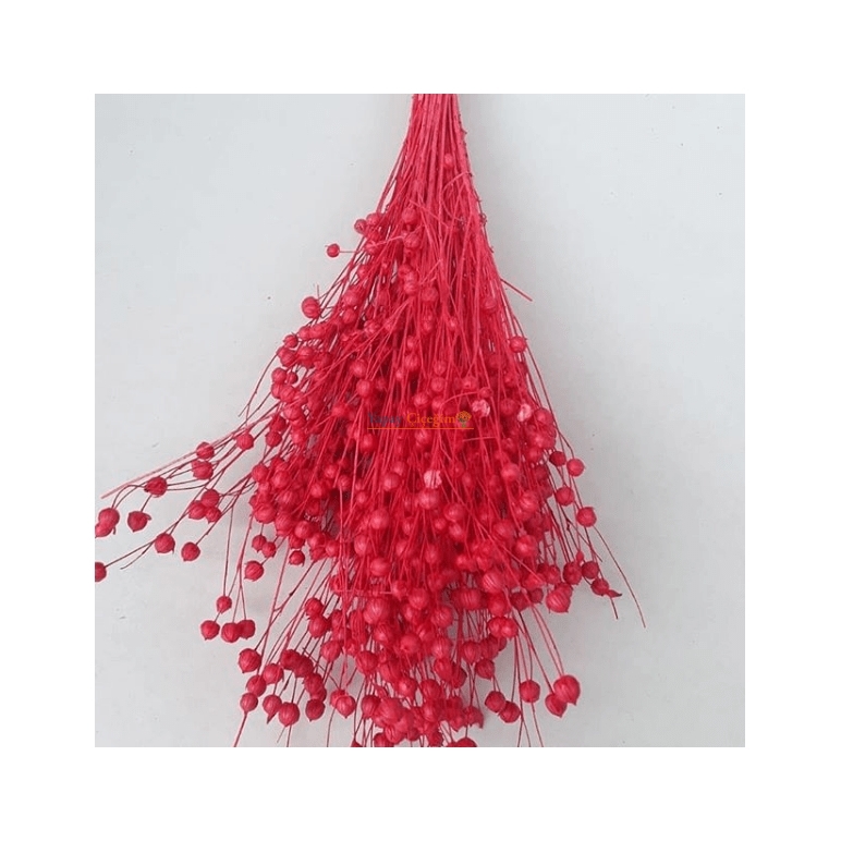 Kırmızı Keten Otu - Kuru Çiçek - 1656