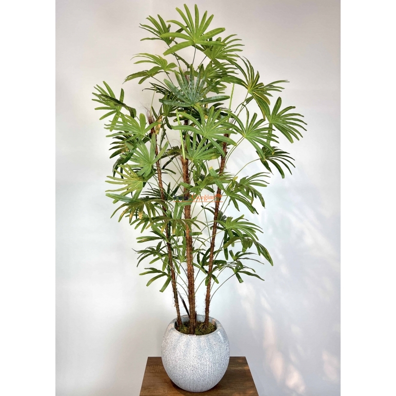 Yapay Rhapis Palmiyesi