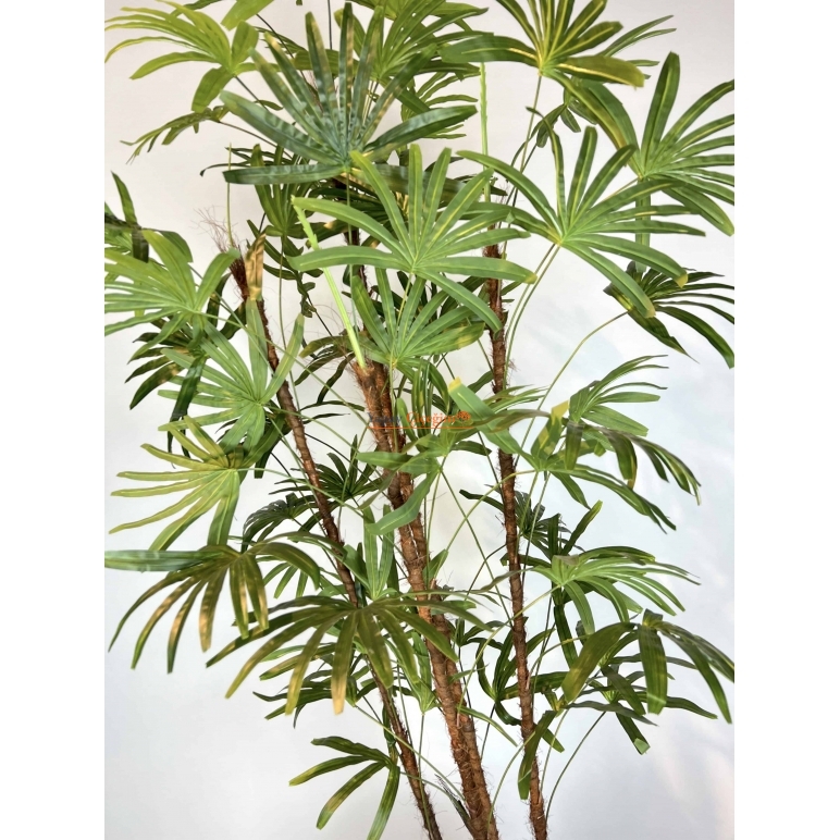 Yapay Rhapis Palmiyesi