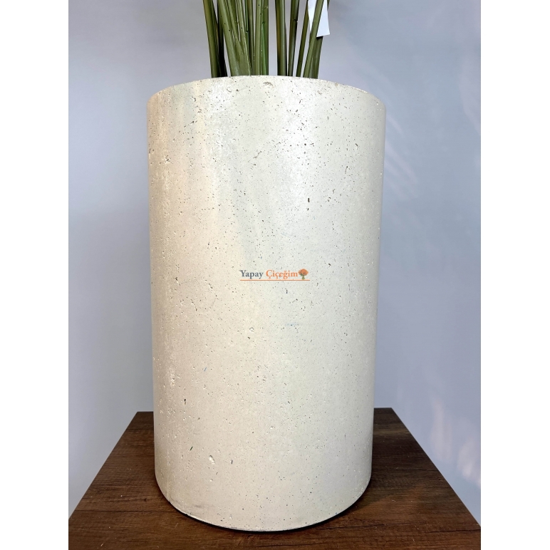 Premium Beton Saksılı Areka Ağacı