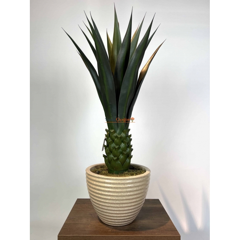 Dekoratif Yapay Agave Ağacı
