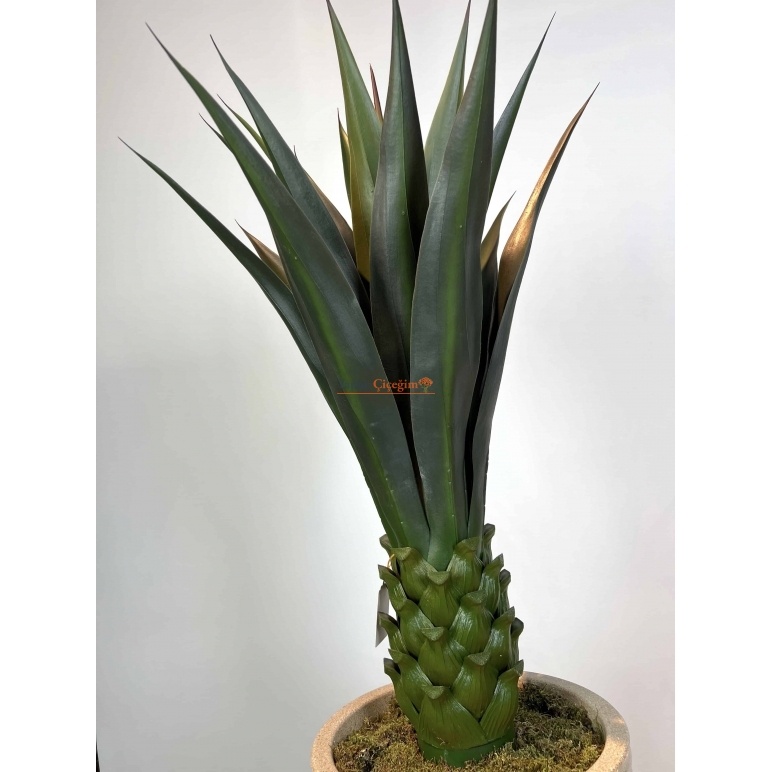 Dekoratif Yapay Agave Ağacı