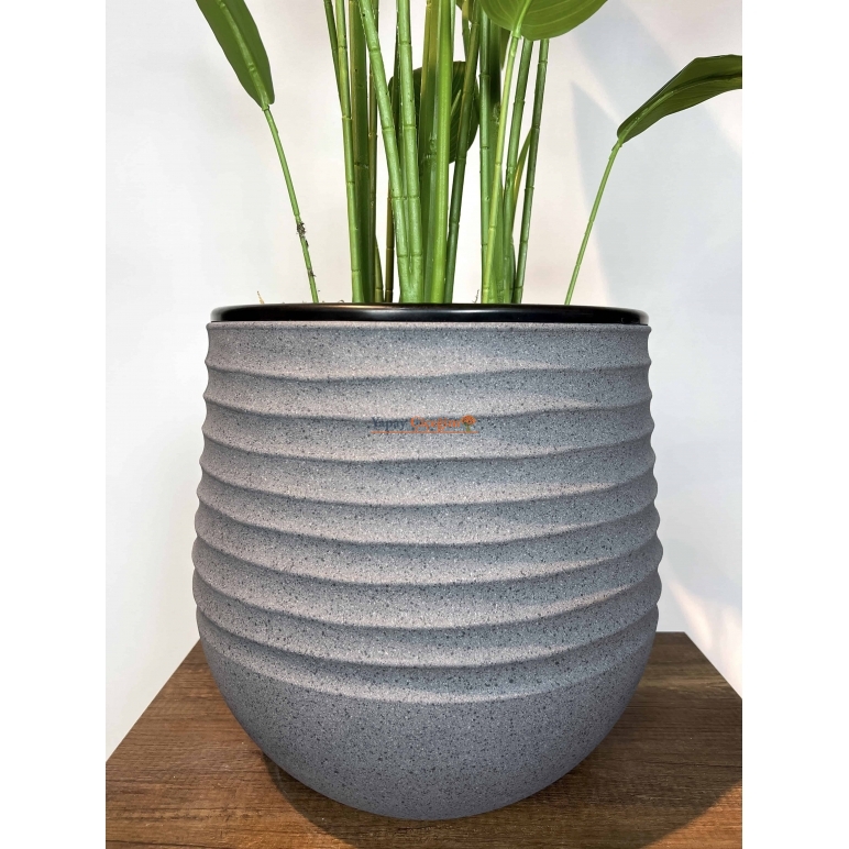 Strelitzia nicolai Yapay Ağaç