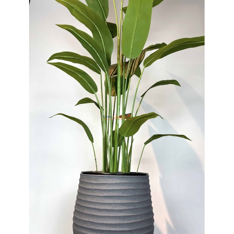 Strelitzia nicolai Yapay Ağaç