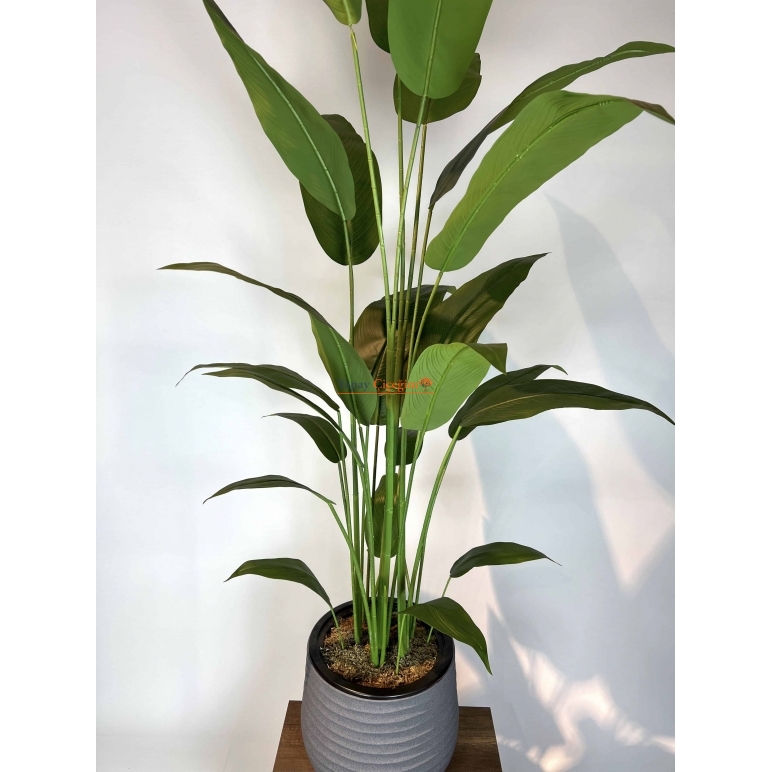 Strelitzia nicolai Yapay Ağaç