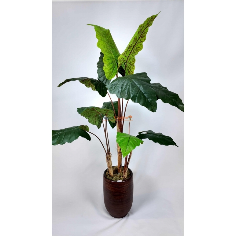 Alocasia Fil Kulağı Yapay Ağaç