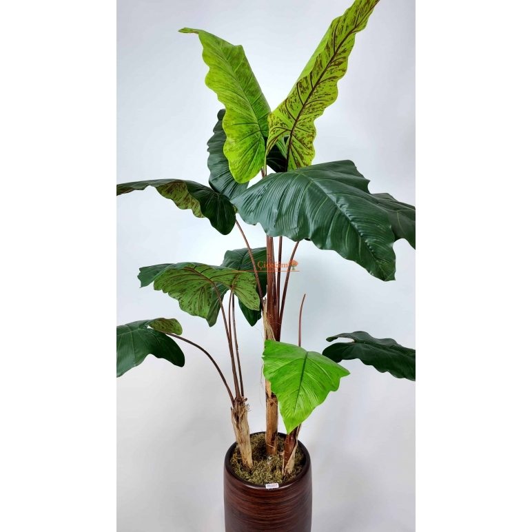 Alocasia Fil Kulağı Yapay Ağaç