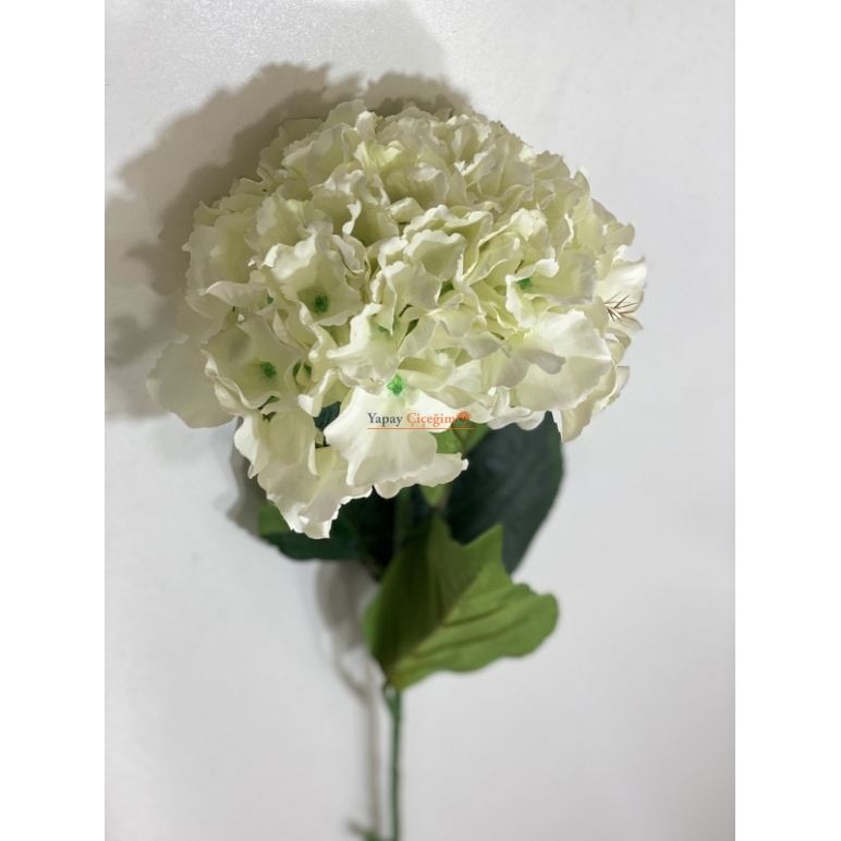 Uzun Vazo Çiçekleri - Ortanca - Krem - 2179