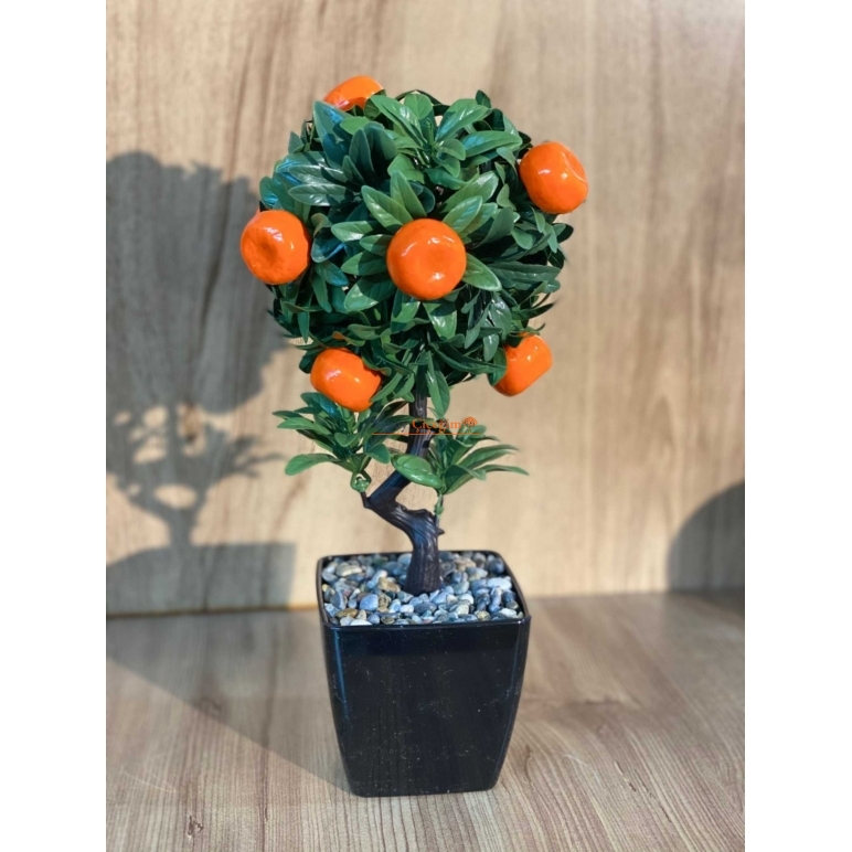 Saksıda Portakal Ağacı 35 cm