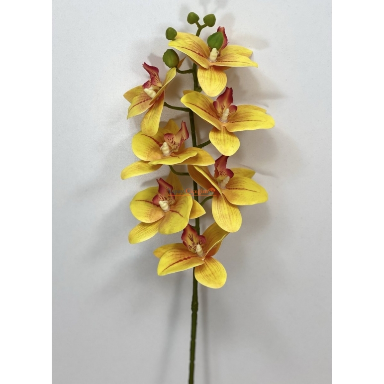 sarı orkide çiçeği