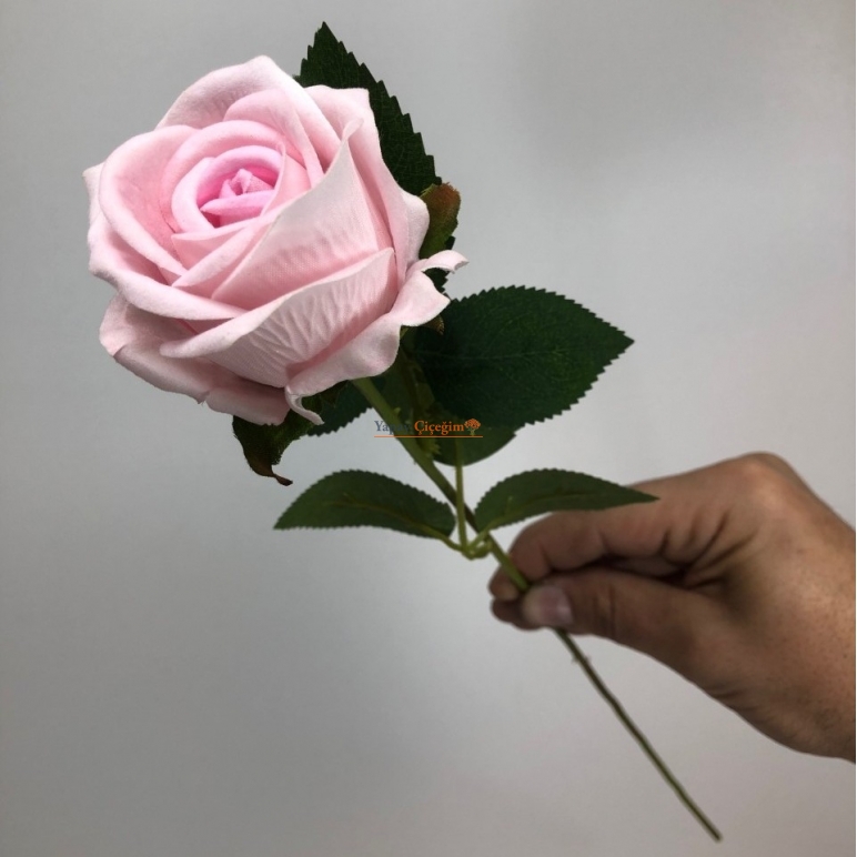 Tek Dal Pembe Kadife Gül
