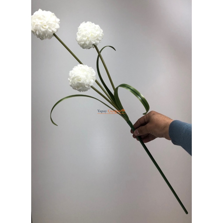 Beyaz Top Çiçek Uzun Vazo ÇiçeğiBeyaz Top Çiçek Uzun Vazo Çiçeği