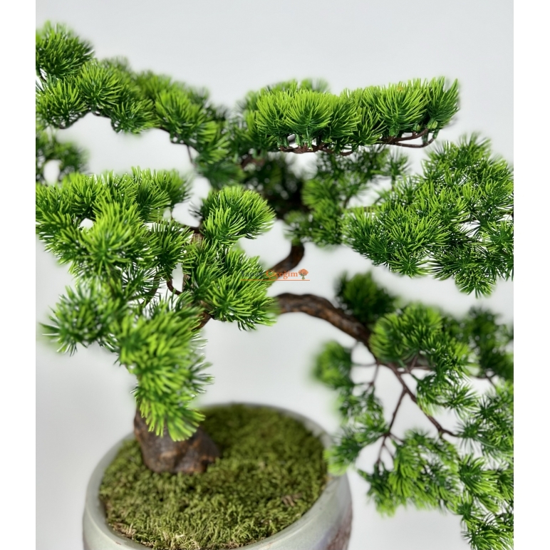 Yapay Bonsai Ağacı