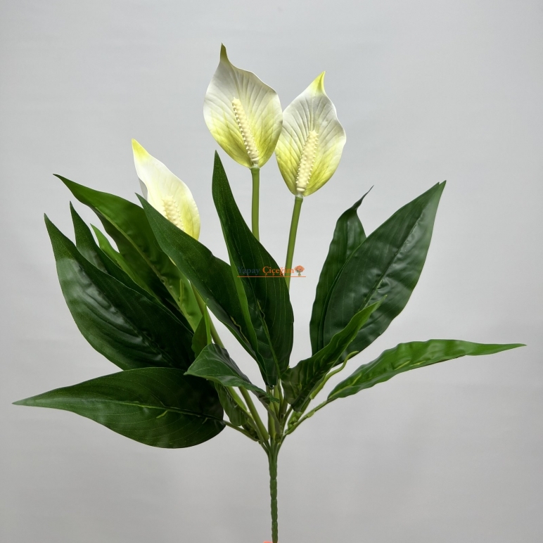 Yapay Spatifilyum Çiçeği