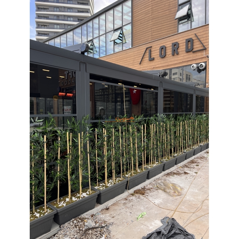 Bambu Seperatör Plastik Saksılı