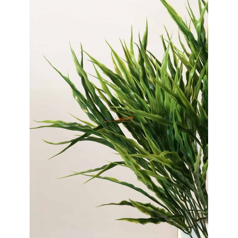 24 lü plastik saz