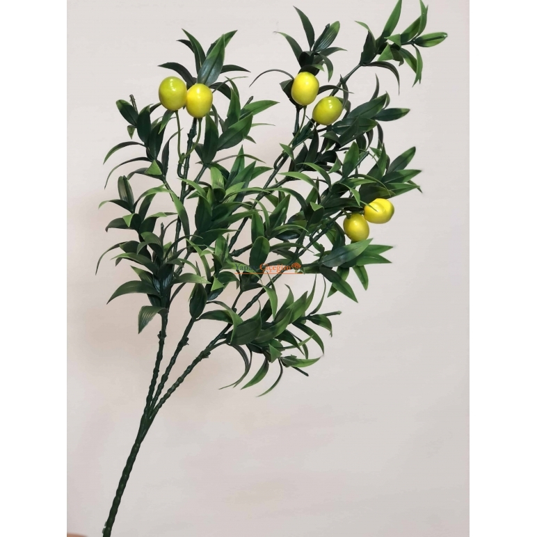 uzun saplı limon