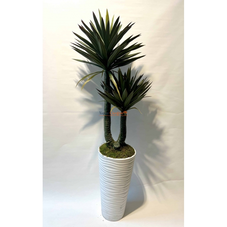 Yapay Aloe Vera Ağacı