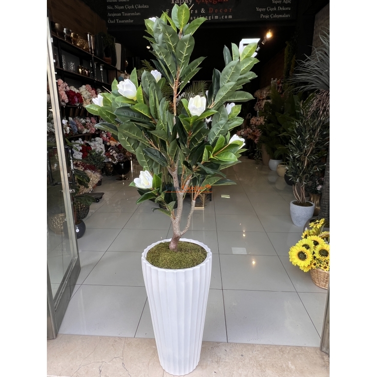 Yapay Manolya Ağacı