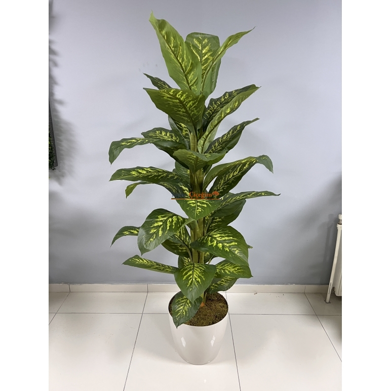 Yapay Difembahya Ağacı