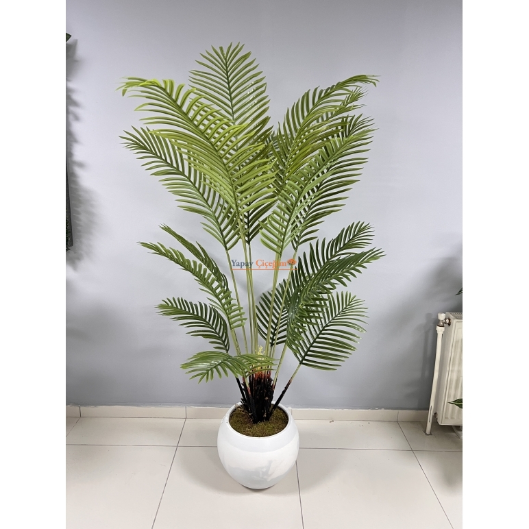 Yapay Areka Ağacı Fiyatları