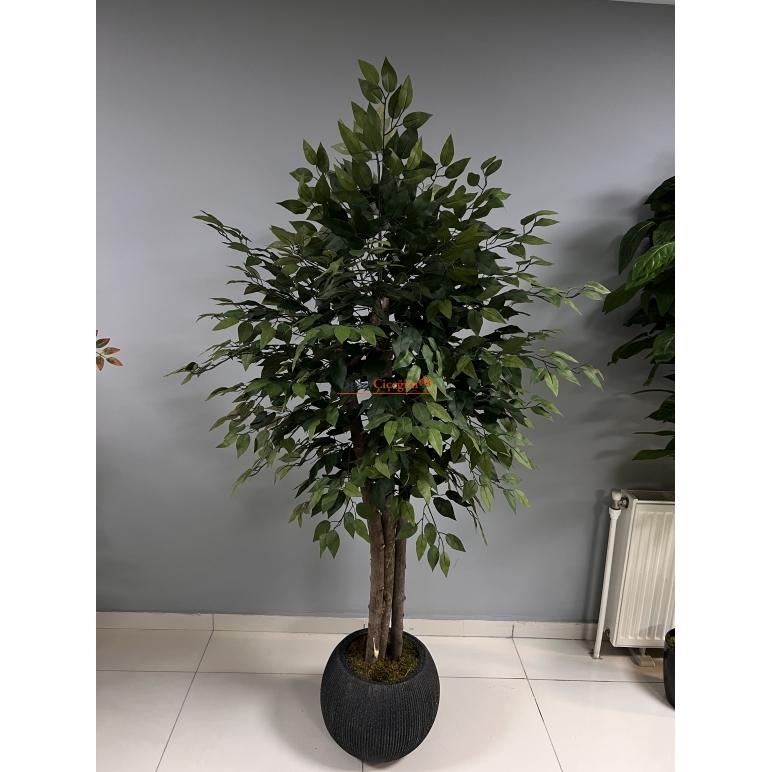 Yapay Benjamin Ağacı