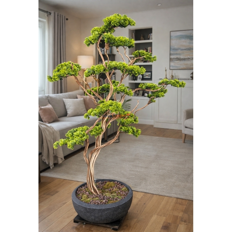 Premium Bonzai Ağacı 2.00 Mt