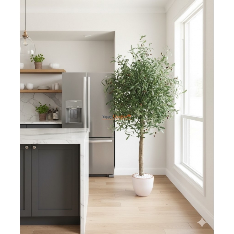 Meyveli Zeytin Ağacı