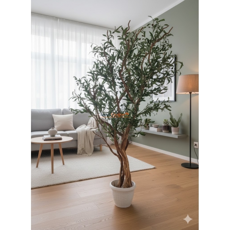 Doğal Gövdeli Zeytin Ağacı